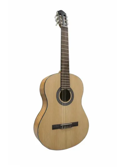 Flight C-100V2 NA klasična gitara 4/4