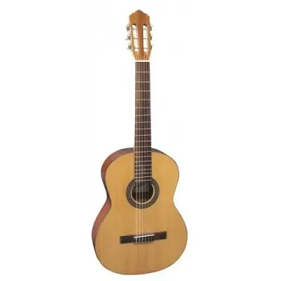 Flight C120 klasična gitara 4/4