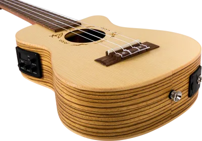 ukulele instrument za početnike