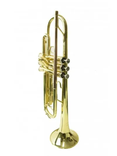 Flight FTR-200G truba Bb