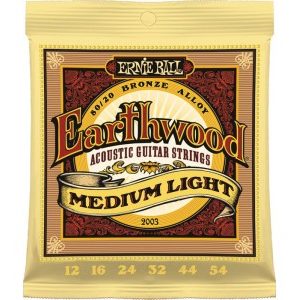 Ernie Ball Earthwood 80/20 12-54 žice za akustičnu gitaru P02003